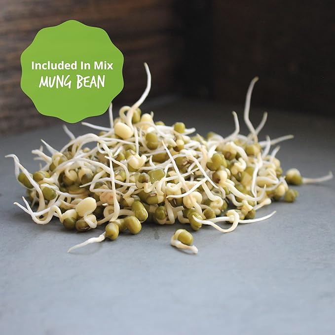 Organic Sprouting Seeds - Handy Pantry Sweet Protein Mix 8 oz. - Fava Bean, Mung Bean, & Yellow Pea Seeds - High Protein Food for Daily Health or Food Storage - Easy and Delicious Organic Sprout Seeds