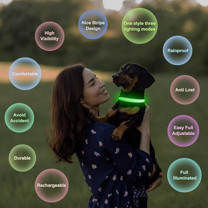 Multi-Color Light up Dog Collar, YFbrite USB Rechargeable LED Puppy Collar Super Bright Adjustable Glowing Dog Lights for Night Walking (Multi-Color, Small)