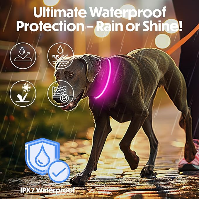 Light Up Dog Collar – Reflective, Adjustable & Rechargeable Electronic Glow Pet Collars – Bright, Comfortable, High Visibility LED Dog Collar for Night Safety, Outdoor Walk & Flashing Fun, Pink, Large