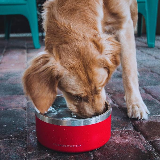 Coldest Dog Bowl - Anti Rust Metal, Non Slip, 3 Layers Insulated Stainless Steel Dog Bowls - Spill Proof & Heavy Duty - Water Bowl for Dogs, Cats & Pets, Dish Washer Safe (100 oz, Crimson Red)