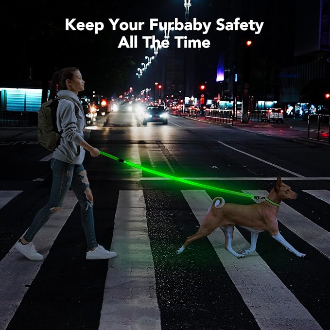 Colaseeme Light Up Dog Leash, LED Pet Leashes USB Rechargeable, Glow Safety Dogs Lights at Night (4FT,Green-New)