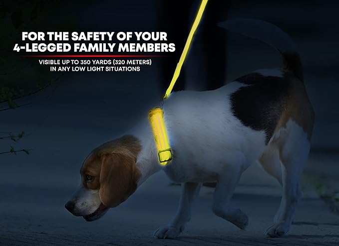 ILLUMISEEN LED Dog Collar USB Rechargeable - Bright & High Visibility Lighted Glow Collar for Pet Night Walking - Weatherproof, in 6 Colors & 6 Sizes (Yellow XX-Small)