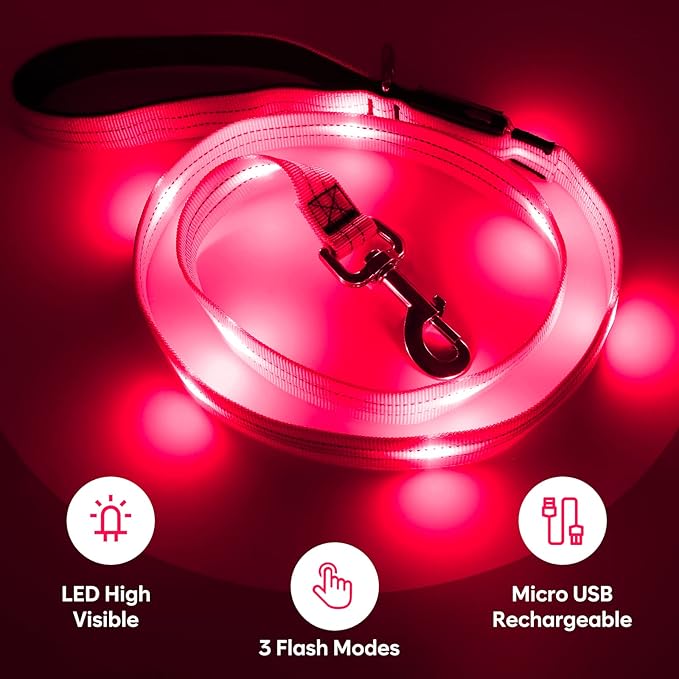 4 Ft Led Dog Leash, Rechargeable Light Up Dog Leash Waterproof, Safety Glow in The Dark Dog Leash for Night Walking, Nylon Reflective Leashes with Padded Handle for Small Medium Large Pets