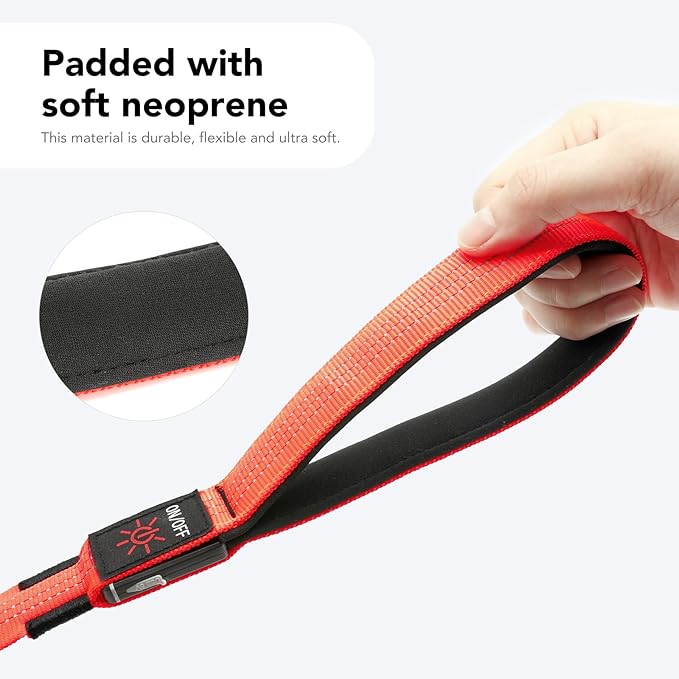 Colaseeme Light Up Dog Leash, LED Pet Leashes USB Rechargeable, Glow Safety Dogs Lights at Night (4FT,Orange)