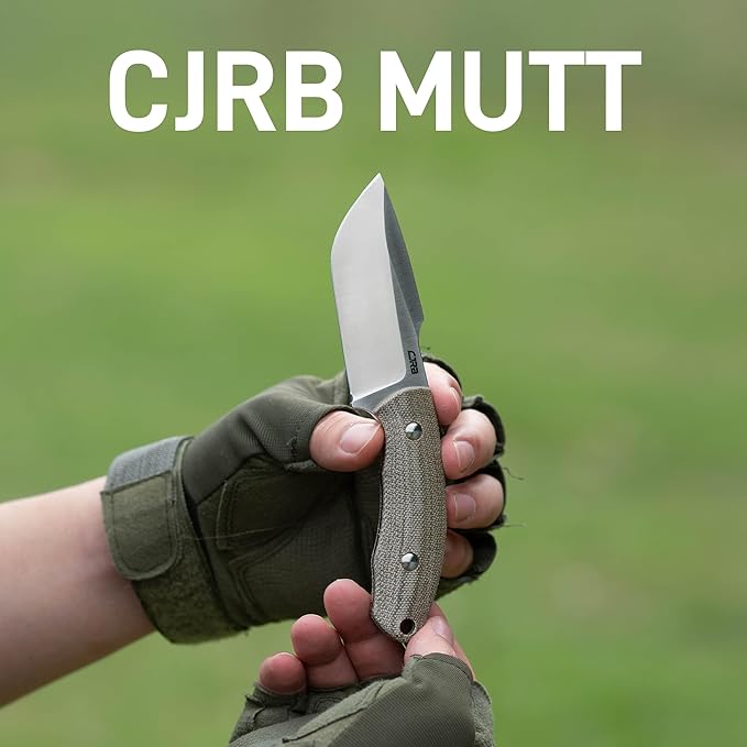 CJRB Mutt Fixed Blade Knife with Sheath, 3.18" AR-RPM9 Steel Blade with Micarta Handle Camping Hiking Survival Knife for Men Women, J1958 Green