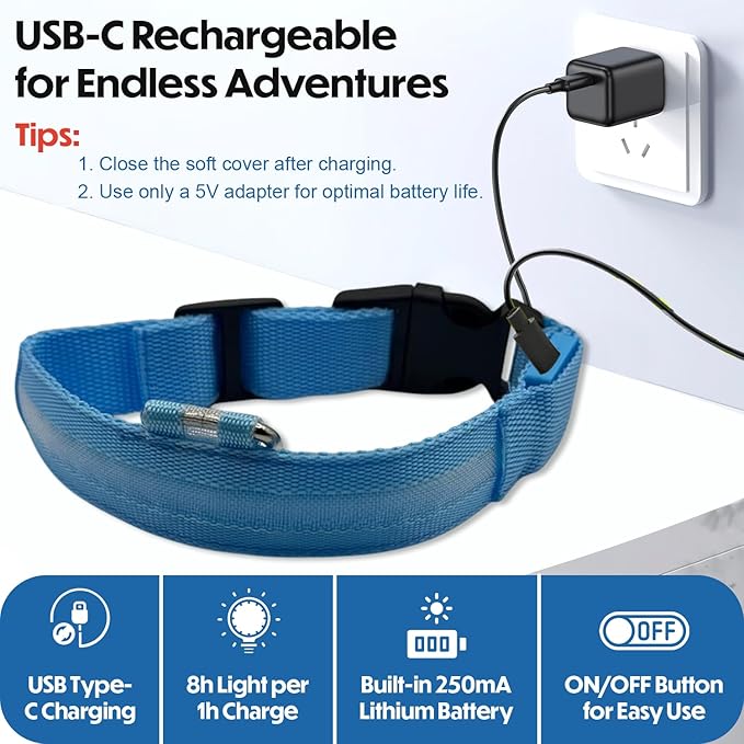 Light Up Dog Collar – Reflective, Adjustable & Rechargeable Electronic Glow Pet Collars – Bright, Comfortable, High Visibility LED Dog Collar for Night Safety, Outdoor Walk & Flashing Fun, Blue, Small