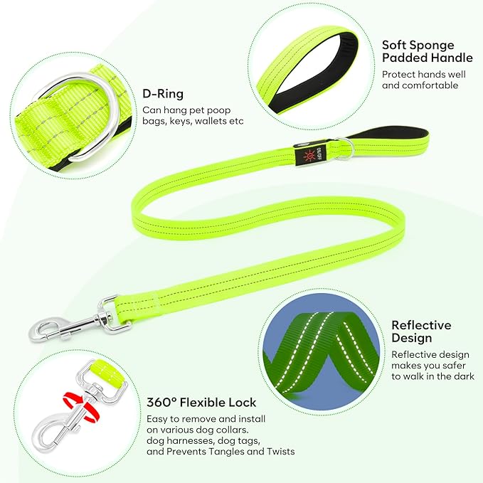 LED Dog Leash, 4 Ft Light Up Dog Leash USB Rechargeable Waterproof, Nylon Reflective Leashes with Padded Handle, Safety Glow in The Dark Pet Lights for Large Medium Small Pet(Green)