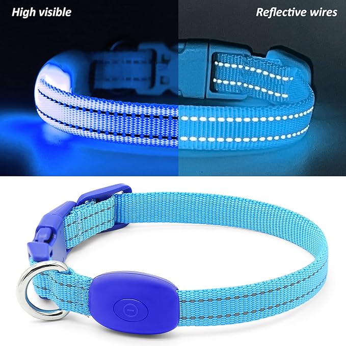 Illumifun LED Collar for Small Dogs - USB Rechargeable Dog Safety Collar Light, Adjustable Nylon Webbing Light Up Collar for Your Pups (Blue, X-Small)