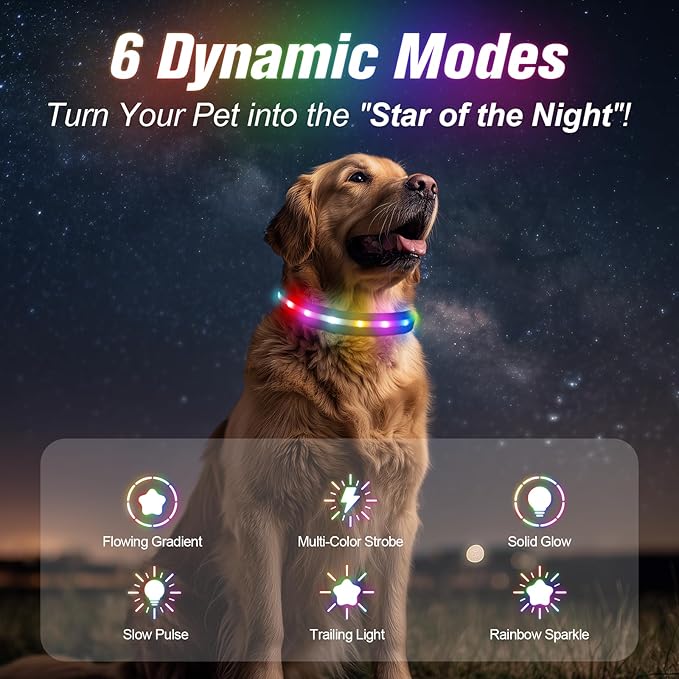 LED Dog Collar, Light Up Dog Collar, USB Rechargeable - Brightest Dog Lights for Night Walking, 6 Light Modes, Adjustable for Dog Safety(Large, Purple)