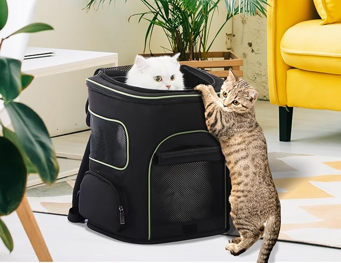 PETSFIT Dog Backpack Carrier with Upgraded Waist Protection Design, Cat Backpacks for Carrying Cats/Dogs/Puppies Up to 22 Pounds. Designed for Hiking Camping Traveling,Black