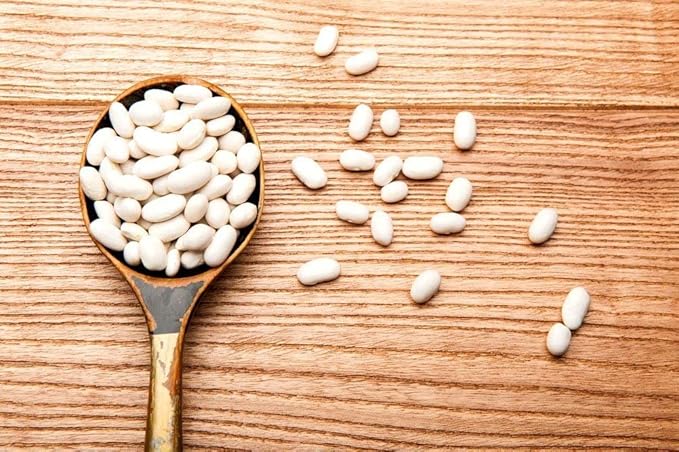 Food to Live Organic Cannellini Beans, 15 Pounds – Non-GMO, Dried White Kidney Beans, Sproutable, Vegan, Kosher, Bulk. Pre-Soak Needed. Rich in Fiber, Protein. Great for Minestrone Soup, Bean Salad.