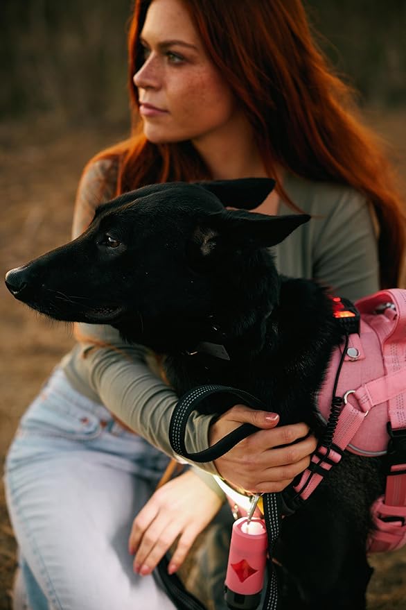 Lumi One LED Dog Harness for Night Visibility and Safety, Patent Pending – Light-Up Dog Vest, Reflective, Adjustable, Rechargeable, Durable, High-Visibility Pet Gear (Pink, Medium)