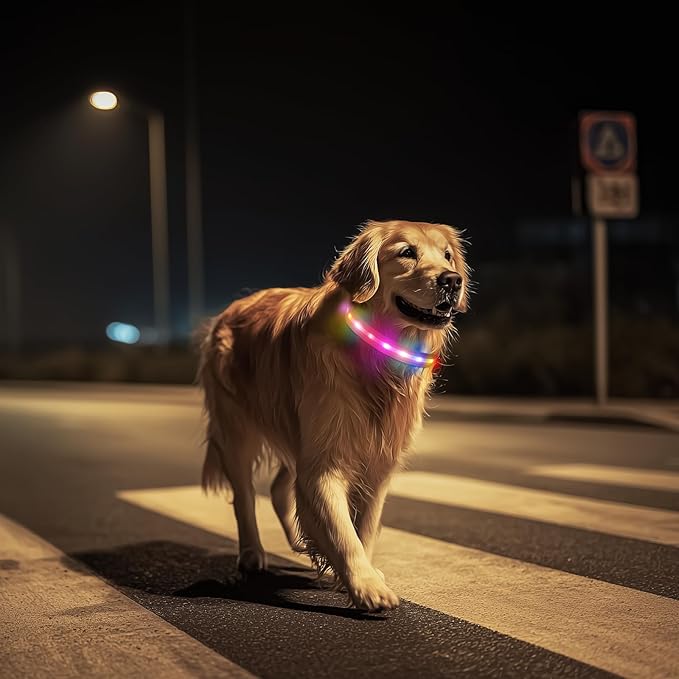 LED Dog Collar, Light Up Dog Collar, USB Rechargeable - Brightest Dog Lights for Night Walking, 6 Light Modes, Adjustable for Dog Safety(Small, Candy Pink)
