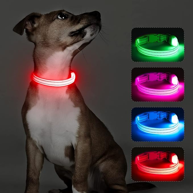Light Up Dog Collar for Small Dogs - Rechargeable Puppy LED Collar Glowing Dog Lights for Night Walking (X-Small, Red)