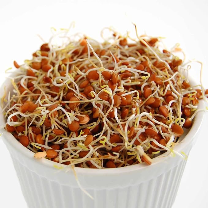 Organic Red Lentil Sprouting Seeds -5 Lbs - Handy Pantry Brand - Red Lentils- Perfect for Garden Seeds, Gardening, Salad, Soup, Sprouts & Food Storage