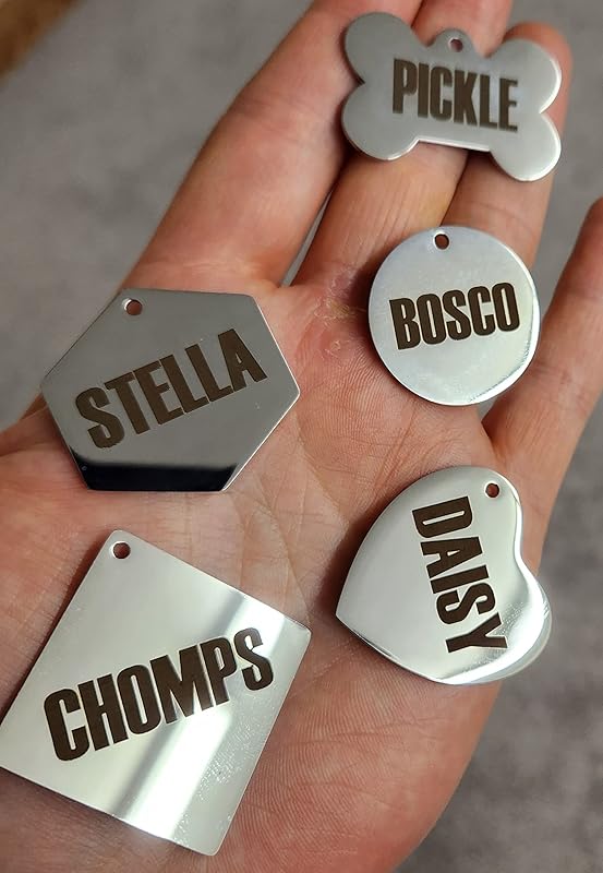 Dr. Fremont's Stainless Steel ID Dog Tags Engraved for Pets Personalized for Cat or Dog Collar Bold Font for Safety (Small, Round)