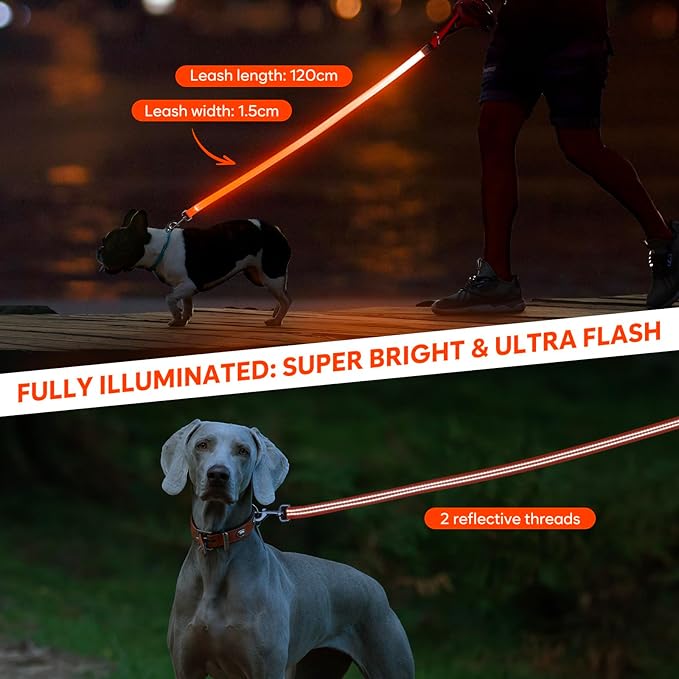 LED Dog Leash, 4 Ft Light Up, USB Rechargeable, Waterproof, Nylon Reflective with Padded Handle, Safety Glow in The Dark for Large, Medium, Small Pets (Orange)