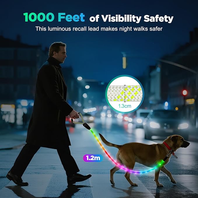 BSEEN Light Up Dog Leash - LED Dog Leash Type-C Rechargeable, 13 Lighting Modes, Glow in The Dark Pet Lead with Soft Handle for Small Medium Large Dogs Night Walking Safety (RGB, 4 Ft)