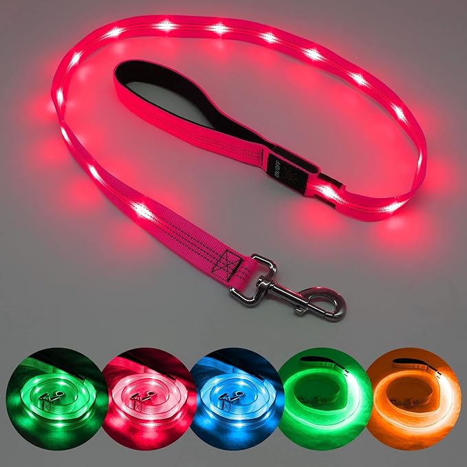Candofly Light Up Dog Leash, USB Rechargeable LED Dog Leash, 4 Ft Reflective Pet Leash for Small Medium Large Dogs(Hotpink)