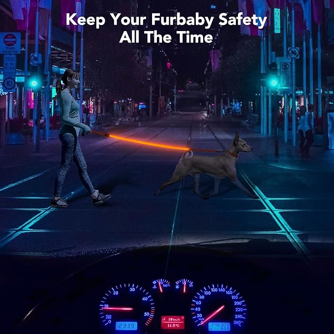 Colaseeme Light Up Dog Leash, LED Pet Leashes USB Rechargeable, Glow Safety Dogs Lights at Night (4FT,Orange)