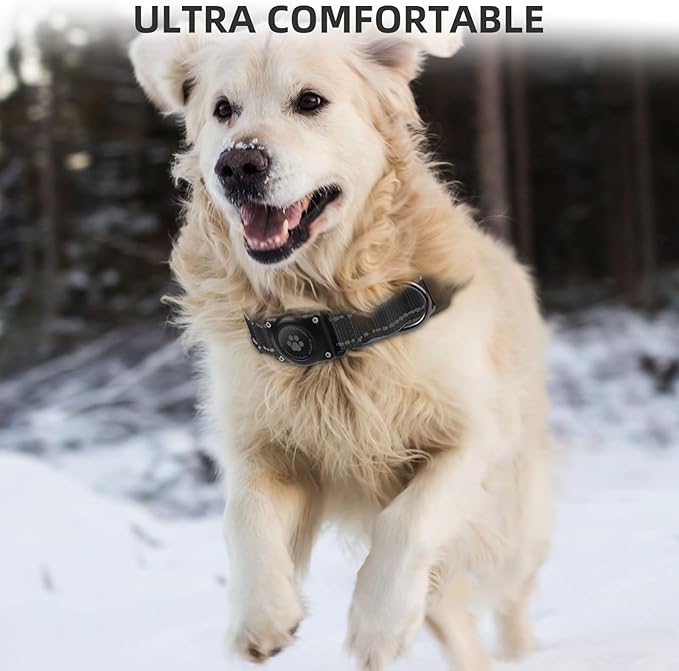 Airtag Dog Collar - 100% Waterproof AirTag Holder, Reflective, Soft Padded, Everlasting GPS Collar for Small to Large Dogs (Black, M)