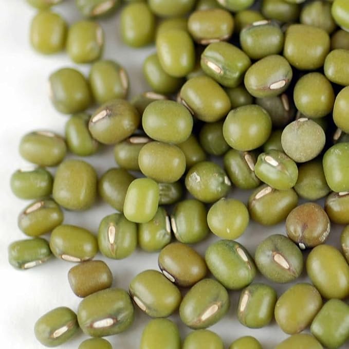 Mung Bean Sprouting Seed: 35 Lb - Organic, Non-GMO - Handy Pantry Brand - Dried Mung Beans for Sprouts, Garden Planting, Chinese & Asian Cooking, Soup & More