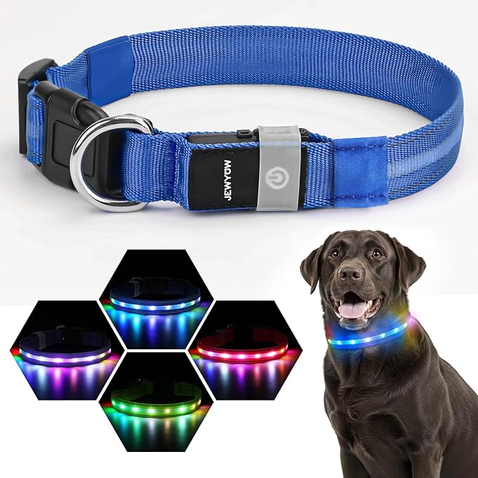 LED Dog Collar, Light Up Dog Collar, USB Rechargeable - Brightest Dog Lights for Night Walking, 6 Light Modes, Adjustable for Dog Safety(Small, Royal Blue)