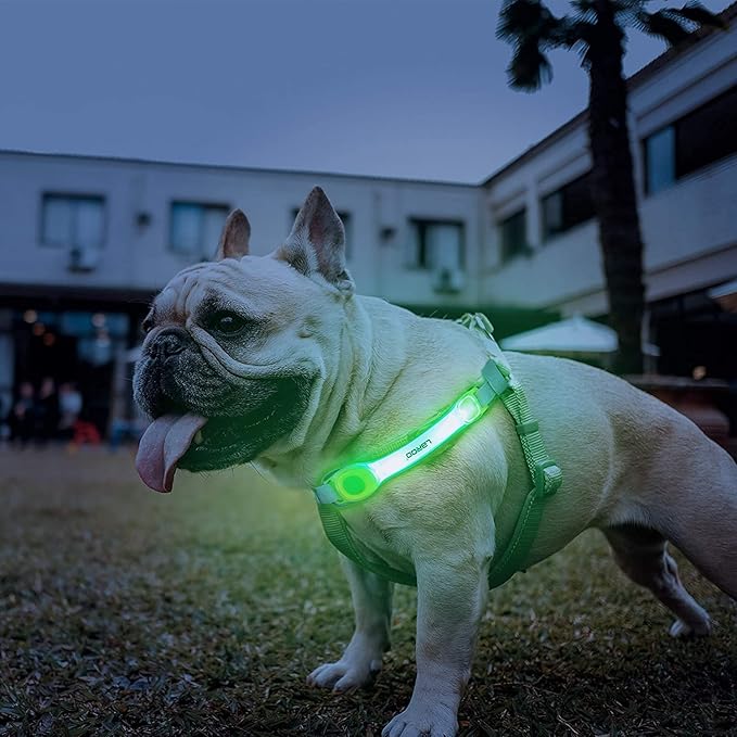 LaRoo Light Up Dog Collar with Nylon Stickers, Universal Glowing Collar Accessories for Leash Harness, Silicone Waterproof Dog LED Flashing Collar Night Outdoor Safety
