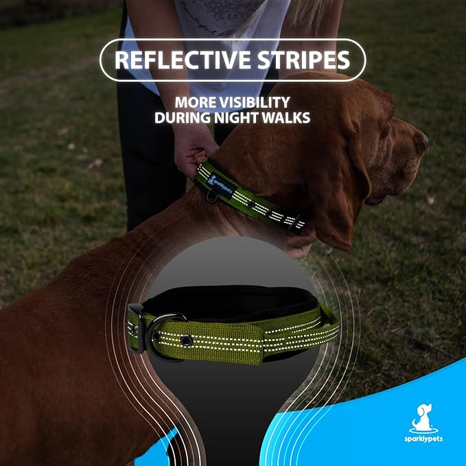 SparklyPets Heavy Duty Dog Collar with Handle for Medium and Large Dogs ??Professional Collar with Reflective Stitches, Soft Handle & Nickel-Plated Buckle (Large (18"~22"), Green)