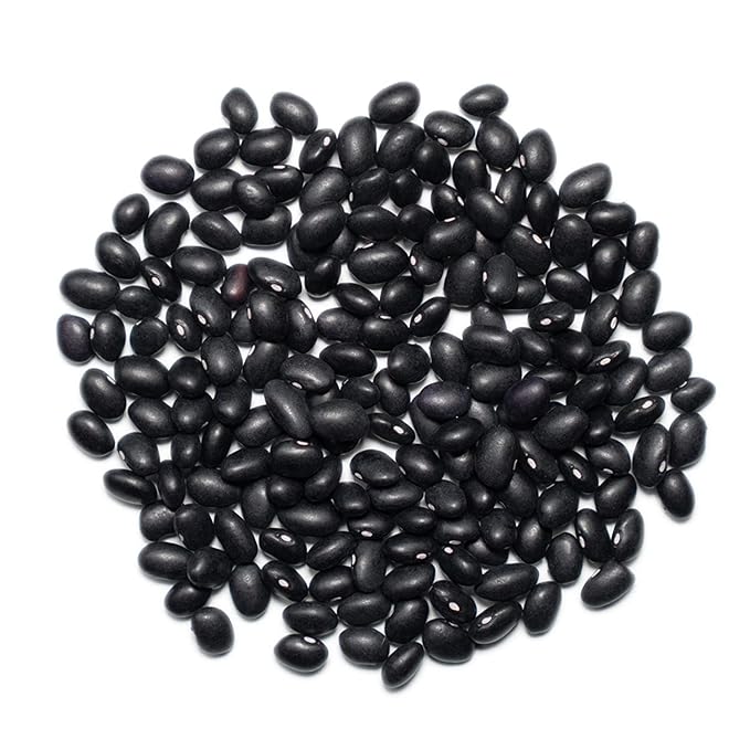 1000 SPRINGS MILL - 25lb Bulk Bucket Organic Black Beans - Used for Soups, Salads, Chili, Dips or Various Breakfast Dishes - Bulk Dry Black Beans - Vegan Friendly