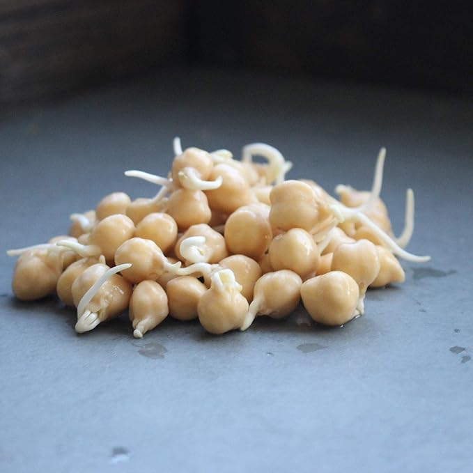 Dried Garbanzo Beans- Organic Sprouting Seeds - 1 Lbs - Handy Pantry Brand - Dry Garbonzo Bean / Seeds - For Planting, Gardening, Hummus, Cooking, Food Storage, Sprouts Product Name