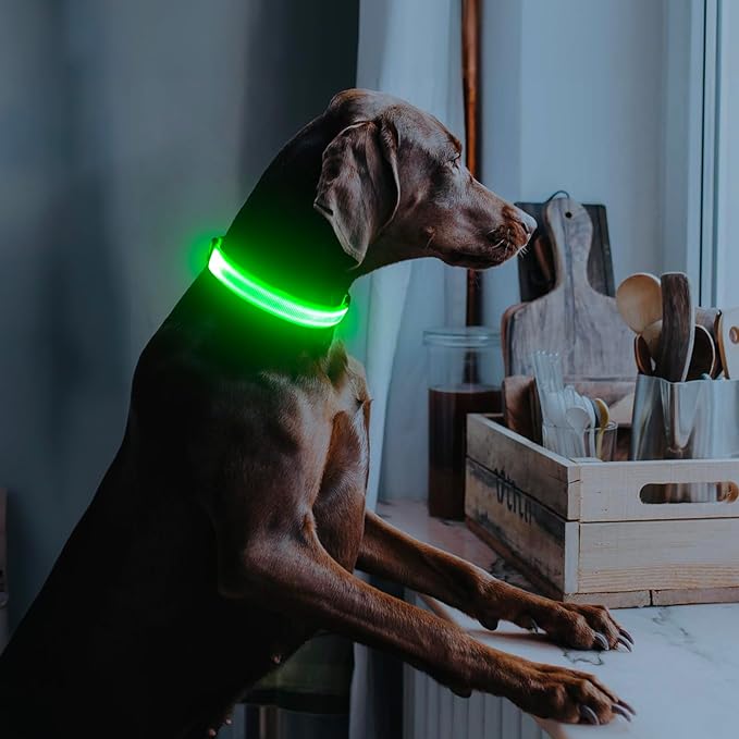 Illumifun Light Up Dog Collar, USB Rechargeable LED Dog Collar Glow in The Dark,Adjustable Pet Safety Lights for Night Walking (Green, Medium)