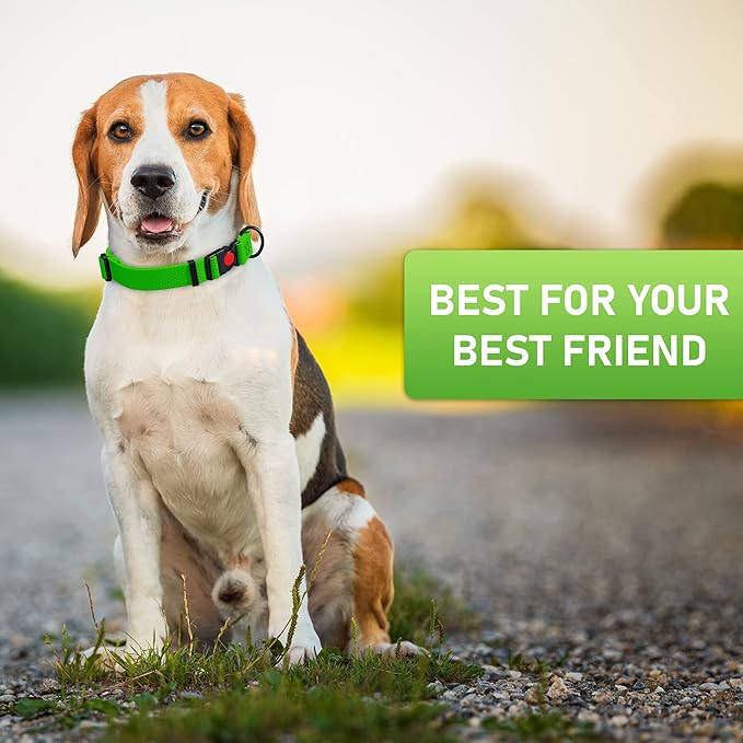 Adjustable Dog Collar with Safety Lock Buckle - Made in USA - Honeycomb Waterproof Heavy Duty Dog Collars for Medium Large Dogs - Odor Proof Pet Collar for Dogs with Strong Zinc D Ring Green