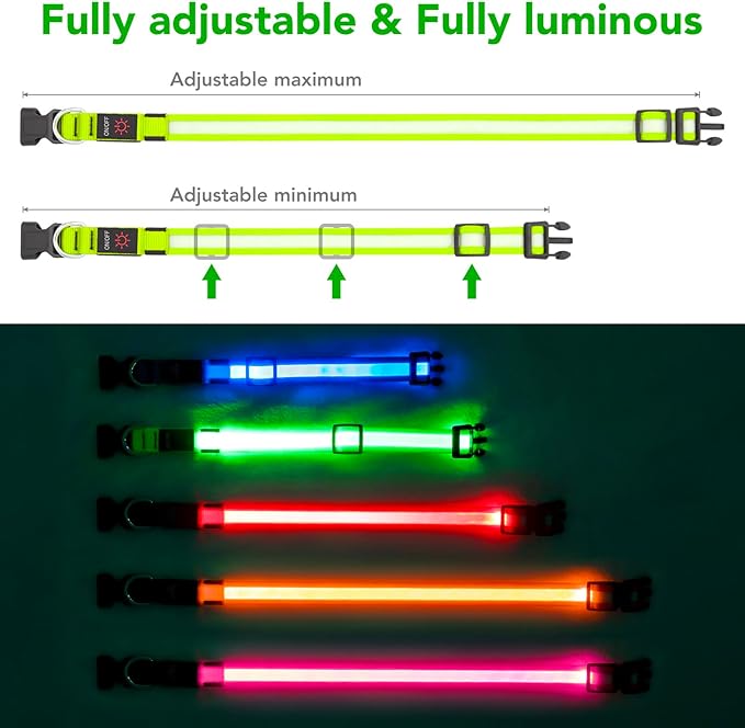 Vizpet LED Dog Collar, Light Up Dog Collar Adjustable USB Rechargeable Super Bright Safety Light Glowing Collars for Dog(Small,Green)