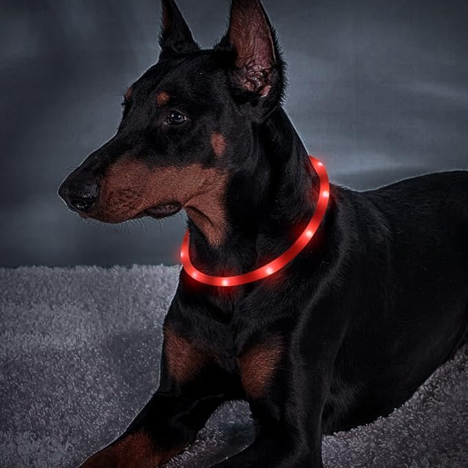 Illumifun Led Dog Collar, USB Rechargeable LED Dog Necklace Light, Silicone Light Up Dog Collars Glow in The Dark (Red-Silicone)