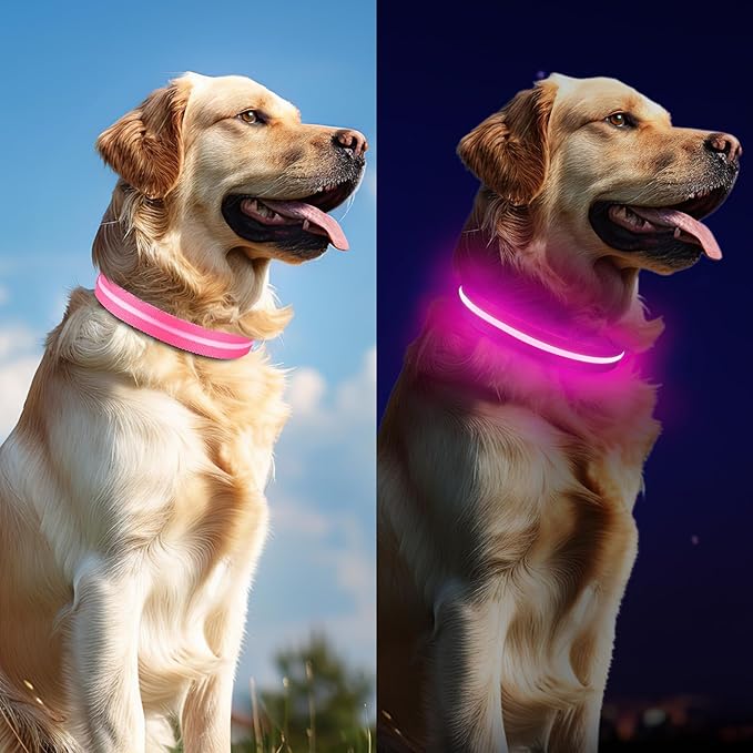 Light Up Dog Collar, Adjustable USB Rechargeable Glow in Dark Dog Collar ,Waterproof Dog Collars for Medium Dogs (Pink, Medium)