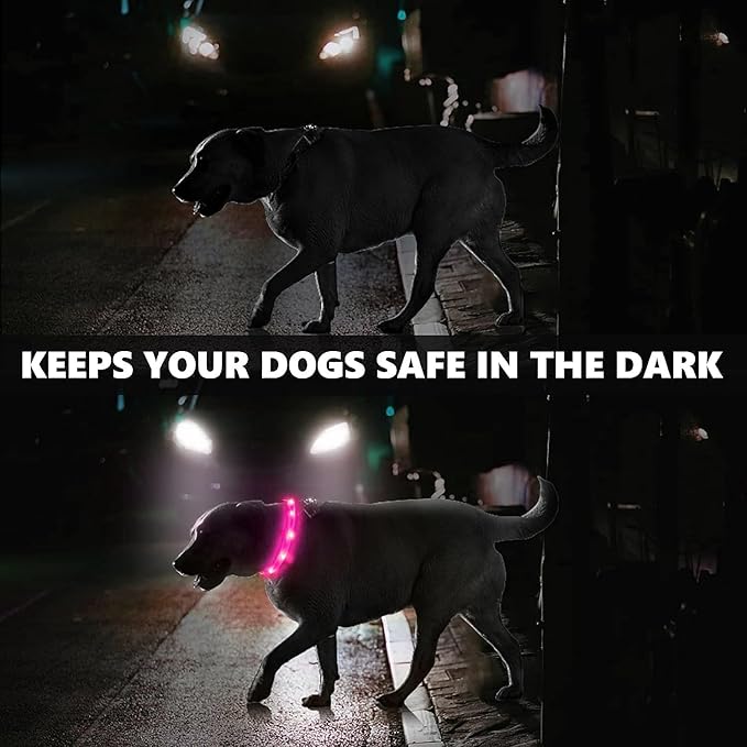 2 Pack LED Dog Collar, Rechargeable Light Up Dog Collars, Dog Collar for Night Walking, Improved Dog Safety & Visibility at Night, 3 Flashing Modes,LED Lights Fits for Small Medium Large Dogs