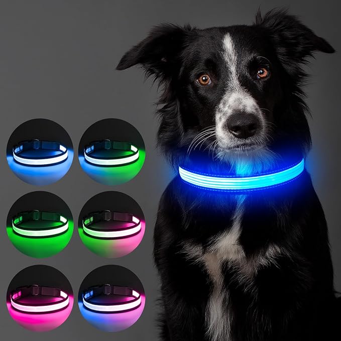 Multi-Color Light up Dog Collar, YFbrite USB Rechargeable LED Puppy Collar Super Bright Adjustable Glowing Dog Lights for Night Walking (Multi-Color, Medium)