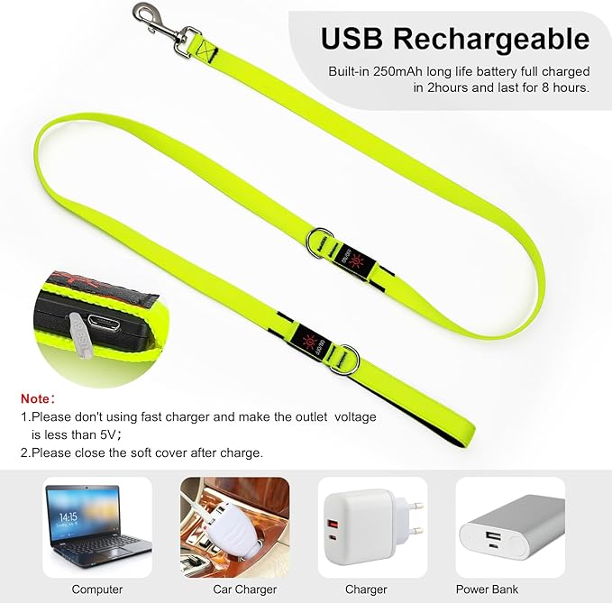 Colaseeme Light Up Dog Leash, LED Pet Leashes USB Rechargeable, Glow Safety Dogs Lights at Night (6FT,Green)