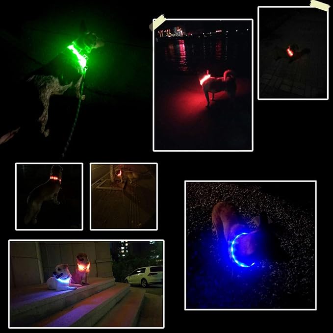 LED Dog Collar,USB Rechargeable Glowing Dog Collars, Light Up Collar Improved Pet Safety &Visibility at Night, 3 Flashing Modes,Water-Resistant LED Lighted Fits for Small Medium Large Dogs