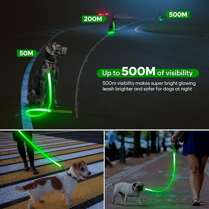 LED Dog Leash, Light Up Dog Leash 4 Ft Fully Illuminated USB Rechargeable Waterproof, Nylon Reflective Leashes with Padded Handle for Dogs Night Walking, Safety Glow in The Dark for Large Medium Pets