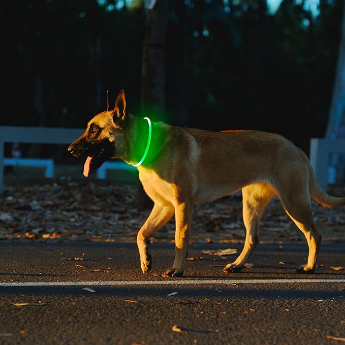 2 Packs Light Up Dog Collar, LED Dog Collar, USB Rechargeable Dog Lights for Night Walking, Adjustable Glow in The Dark Collars for Small Medium Large Dogs, Waterproof Safety Pets Lights Green&Blue