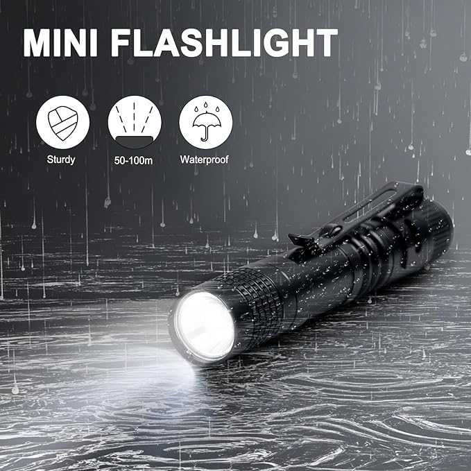 10 Pack Mini LED Flashlight 3.3 Inch Pocket Pen High Lumens Handheld Flashlight with Clip for Camping,Outdoor,Emergency