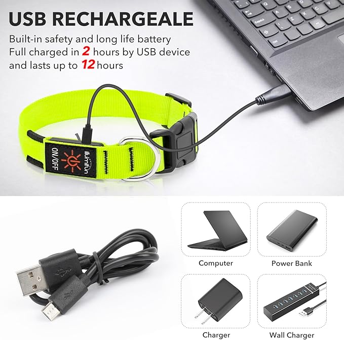 Illumifun Light Up Dog Collar, USB Rechargeable LED Dog Collar Glow in The Dark,Adjustable Pet Safety Lights for Night Walking (Green, Medium)