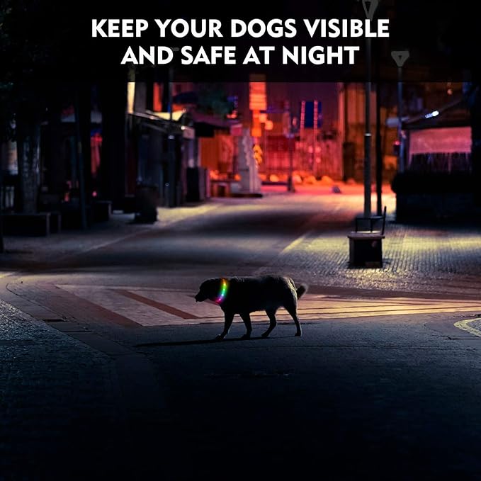 LED Dog Collar, Rechargeable RGB Color Changing Light Up Dog Collars, Waterproof Dog Lights Make Pet Visible and Safety for Night Walking,Outdoor, Camping, for Small Medium Large Dogs