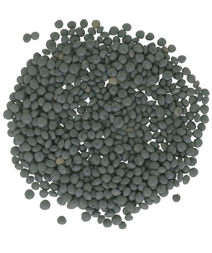 Black Lentils | 25 LBS | Emergency Food Storage Bucket | Non-GMO | Vegan | Bulk