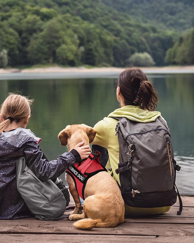 FAYOGOO Service Dog Vest for Small Dogs - Lightweight Dog Harness with 6PCS Removable Patches - Puppy Harness and Leash Set for Walking,Training