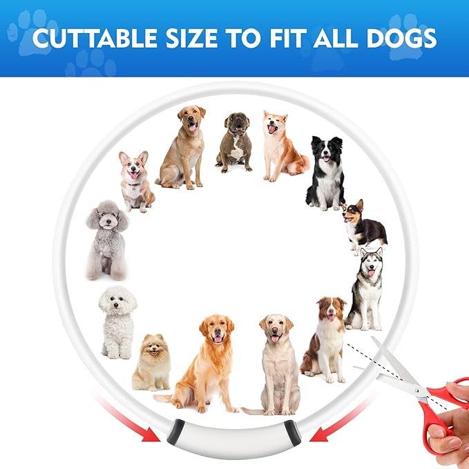 Lighted Dog Collar, Rechargeable 7 Colors Changing Light Up Dog Collar, IP67 Waterproof LED Collar Glow in The Dark, Make Pet Visible and Safety for Night Walking,Outdoor, for All Dogs