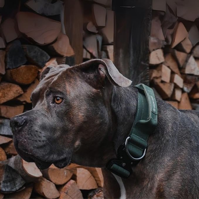 Spark Paws Tactical Dog Collar - Heavy Duty, Premium Quality, Thick and Durable for Large and Medium Dogs - Solid Green - L