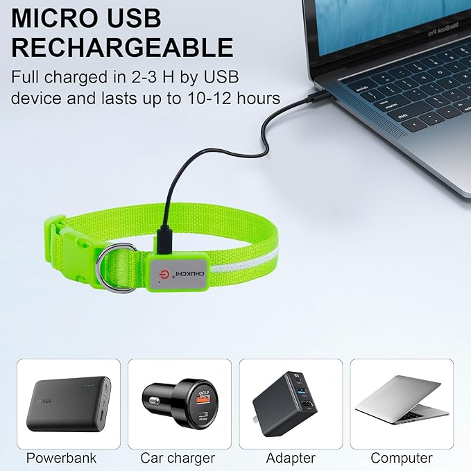 CHUKCHI LED Dog Collar Rechargeable,Waterproof Flashing Collar,Light Up Glow Collar, Adjustable Soft Safety Light Up for Small Medium Large Dogs Walking Camping at Night (Green-L)